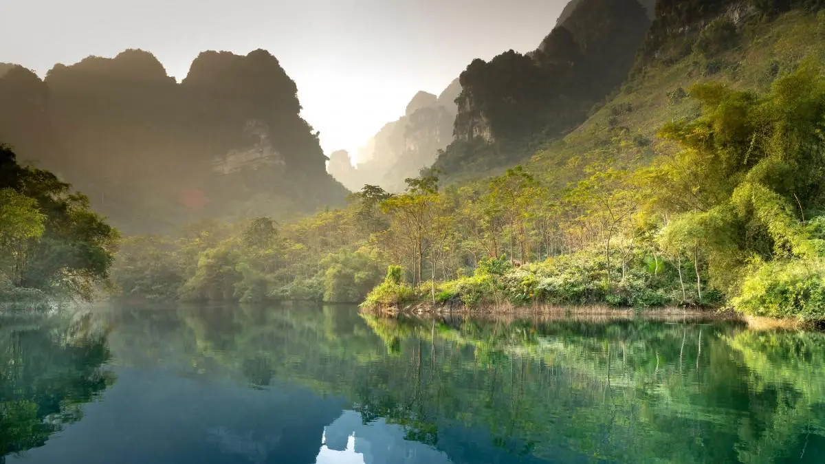 高精度高效无人化